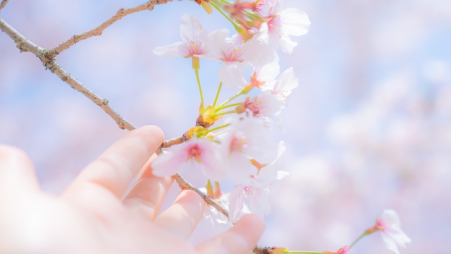 「手放す終活」が、今の自分を軽くする